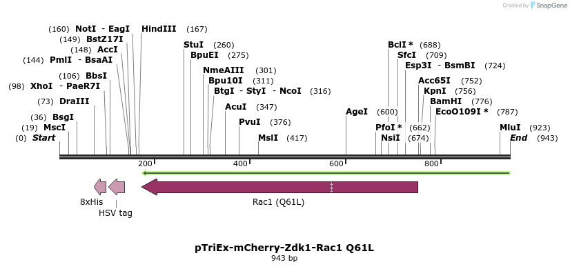158070_map