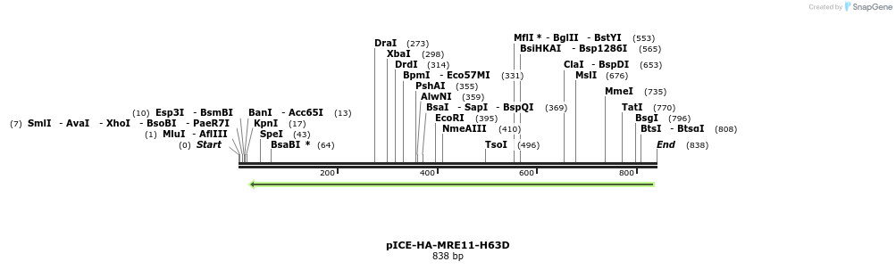 158071_map