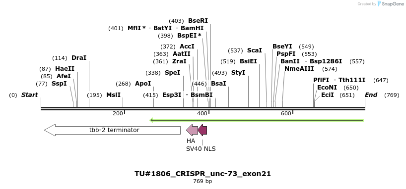 158078_map