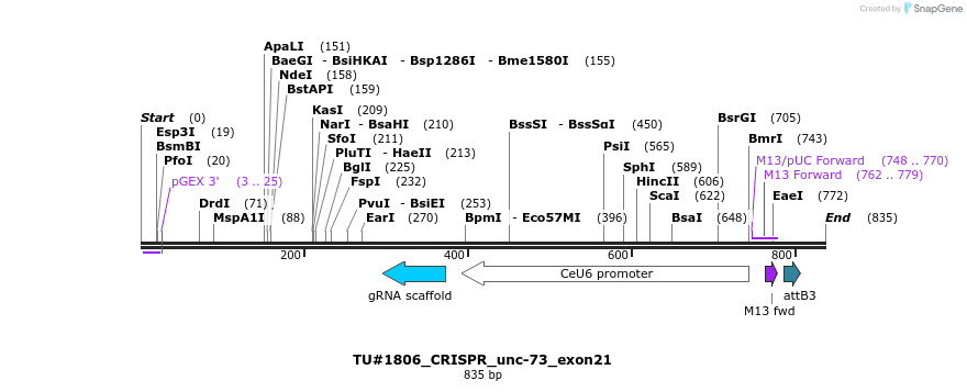 158079_map