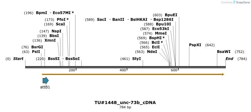 158086_map