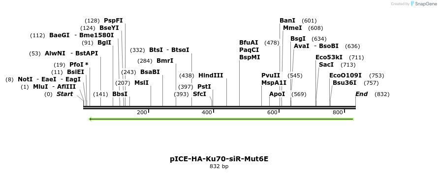 158156_map