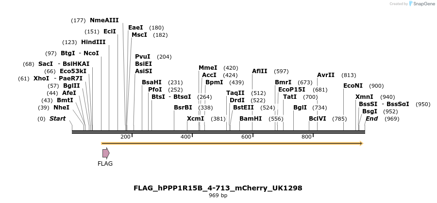 158174_map