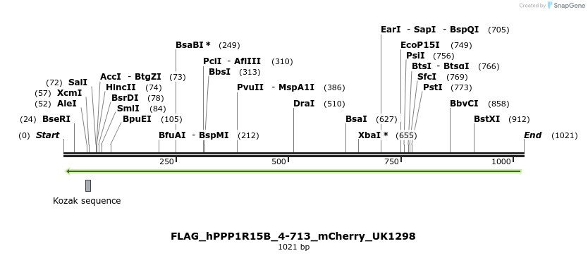 158175_map