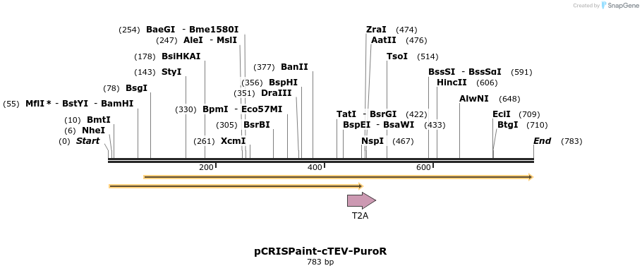 158274_map