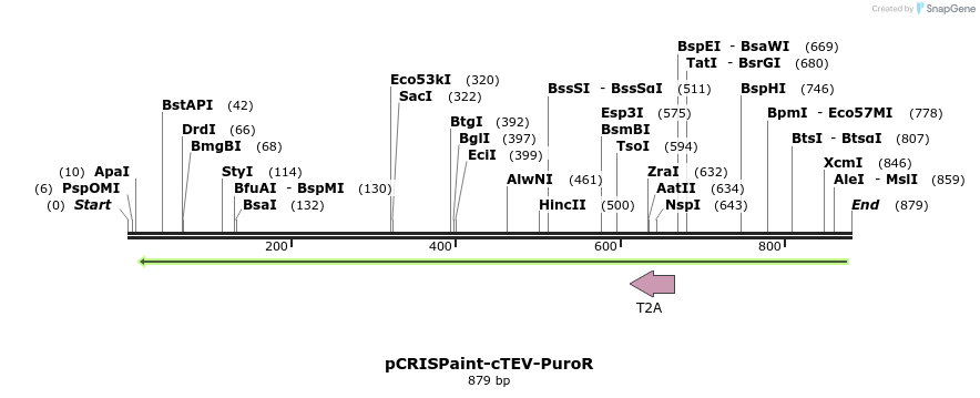 158275_map