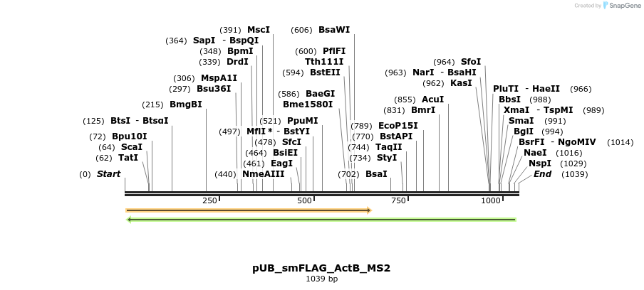 158315_map