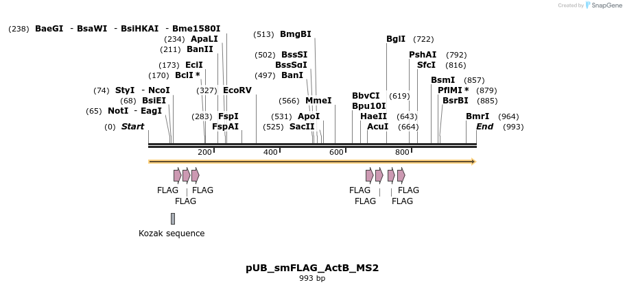 158316_map