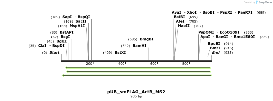 158317_map