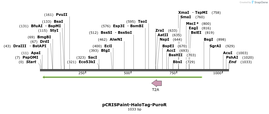 158334_map