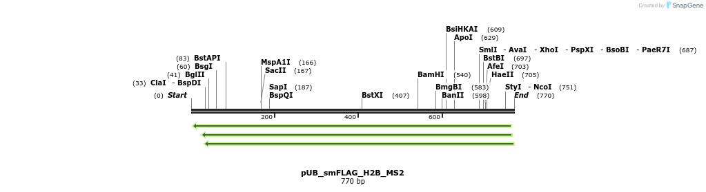 158336_map