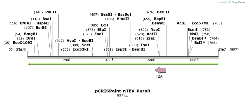 158344_map