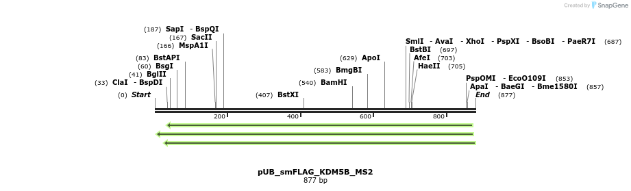 158345_map