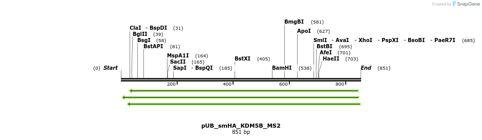 158352_map
