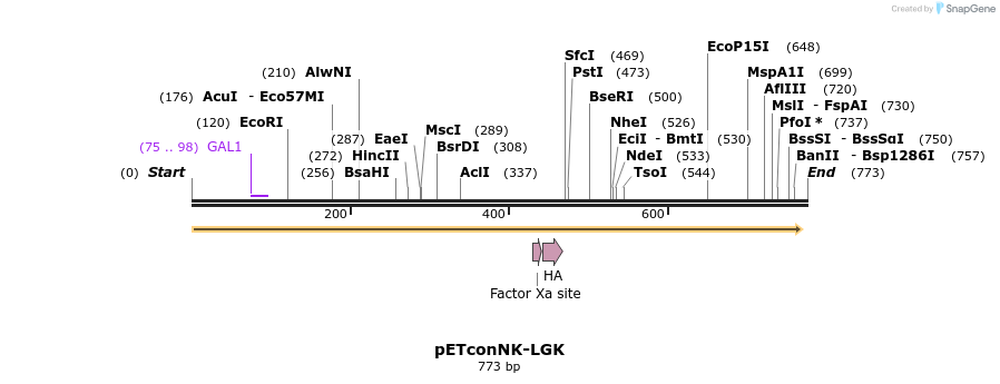 158370_map