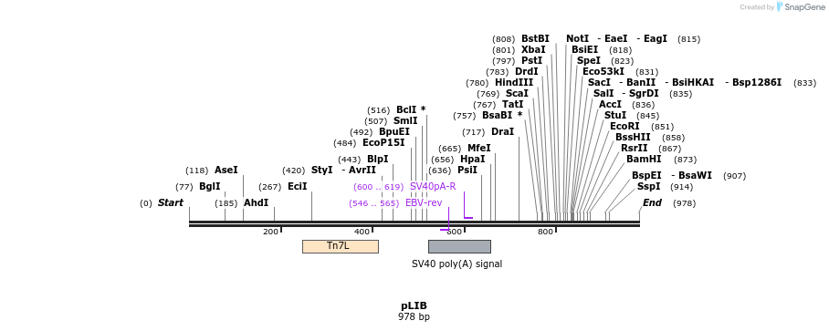158372_map