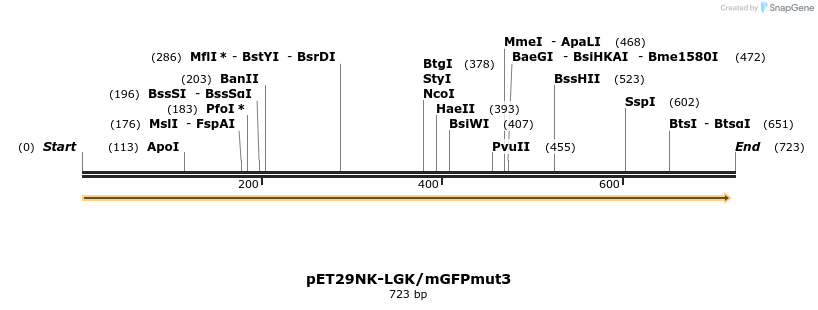 158374_map