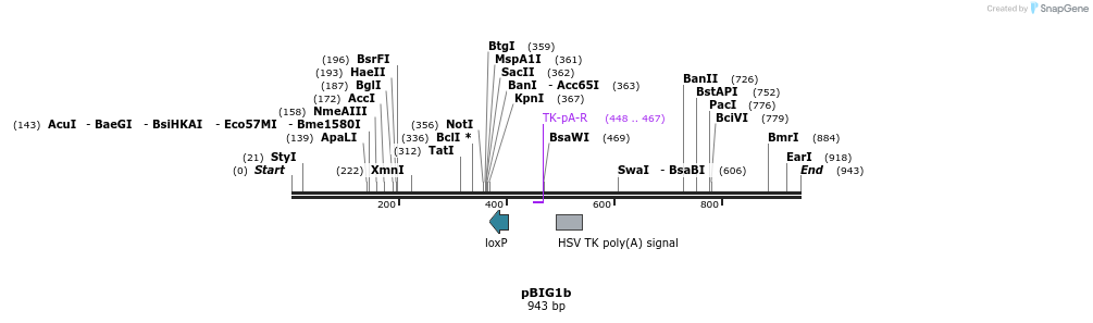 158377_map