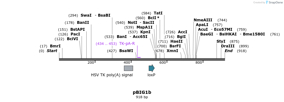 158378_map