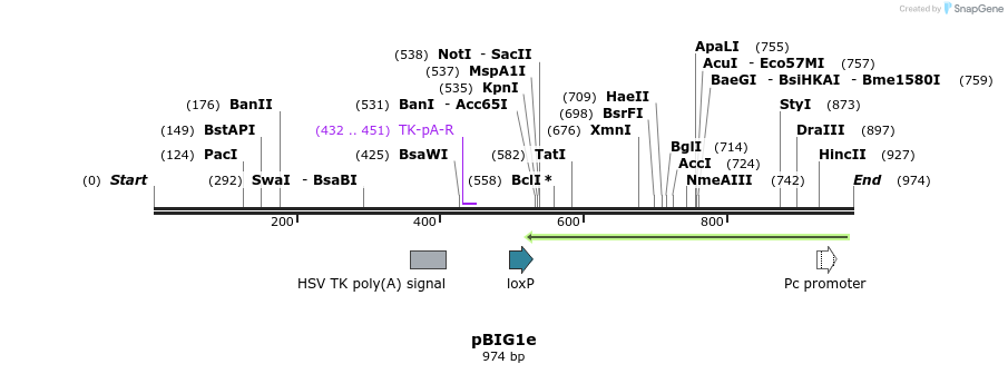 158388_map