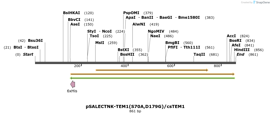 158397_map