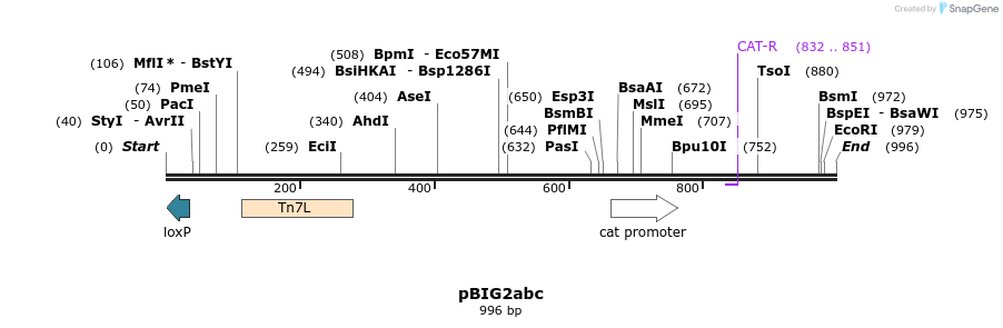 158399_map