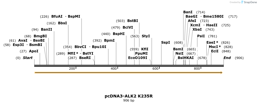 158443_map