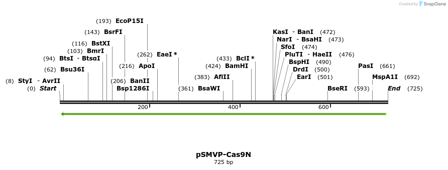 158456_map