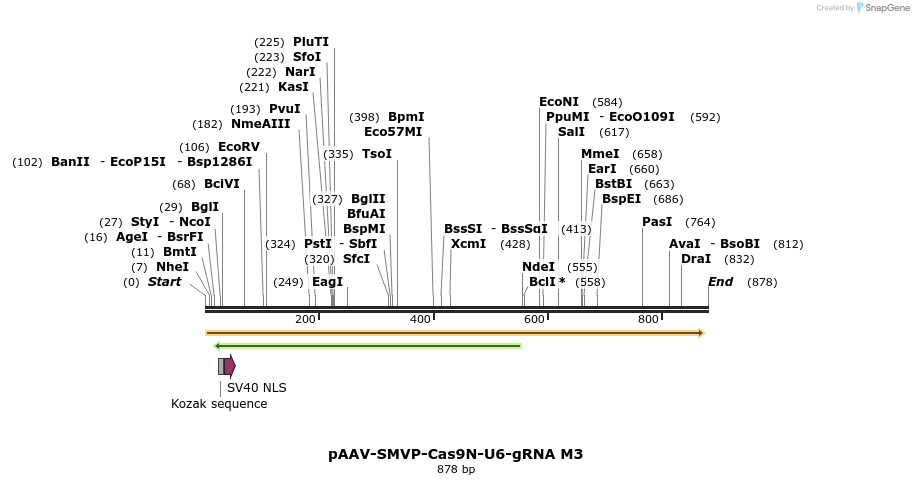 158459_map
