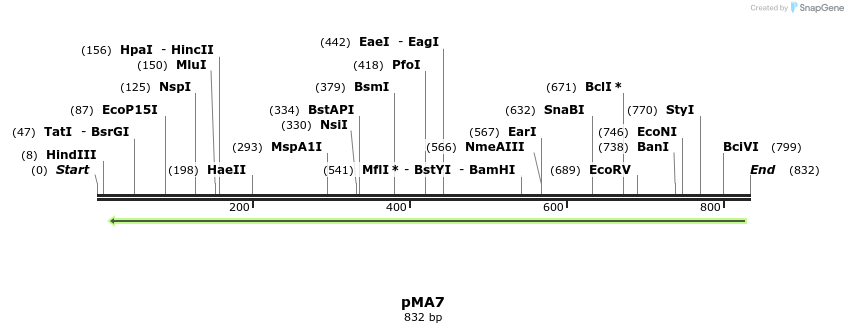 158474_map