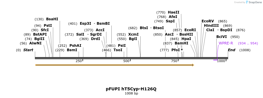 158491_map
