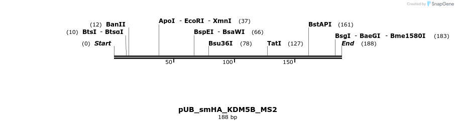 158505_map