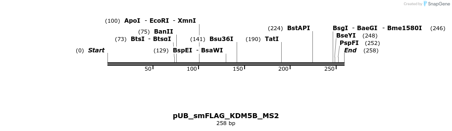 158508_map
