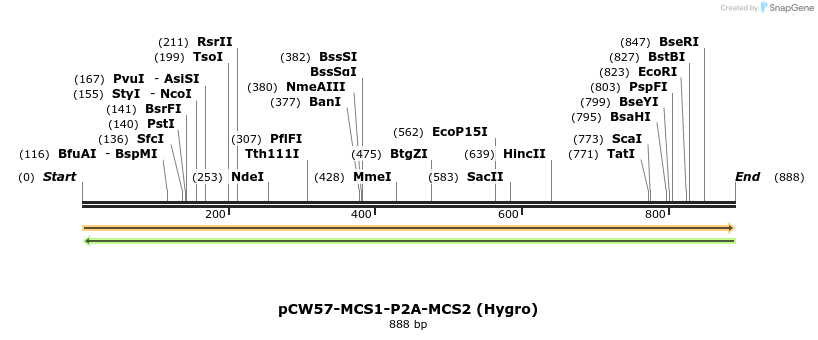 158509_map