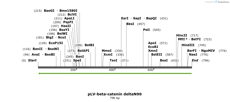 158511_map