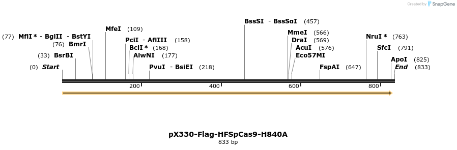 158523_map