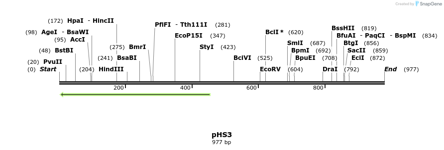 158525_map