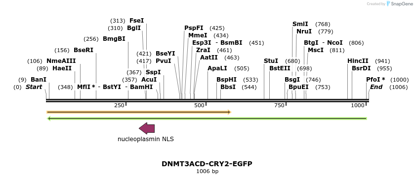 158540_map