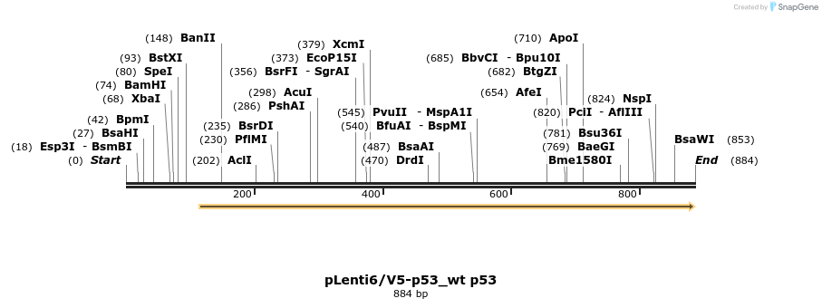 158546_map