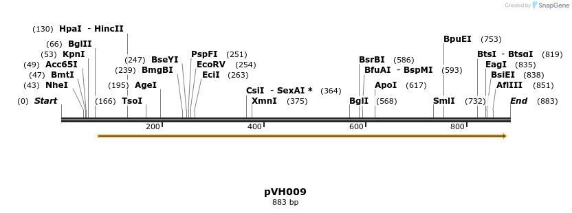 158578_map