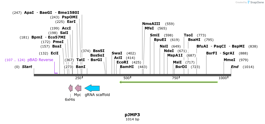 158597_map