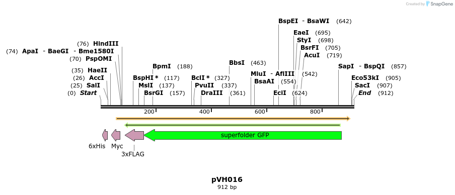158606_map