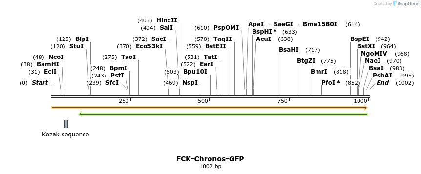 158607_map