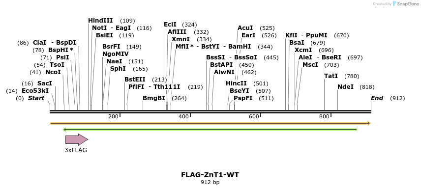 158622_map
