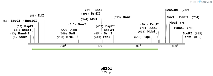 158636_map