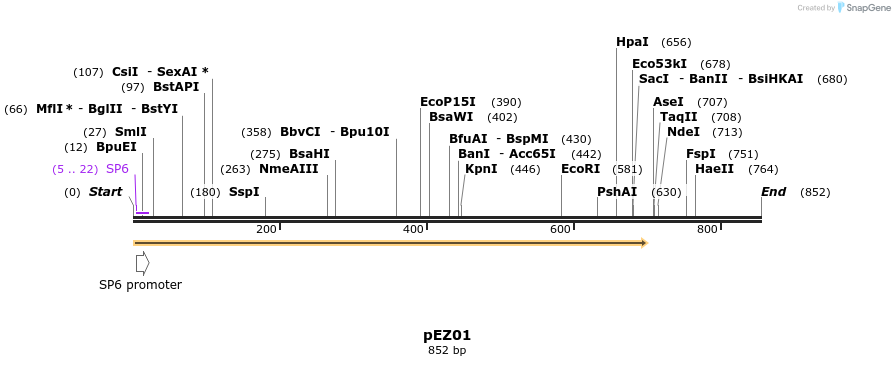 158638_map