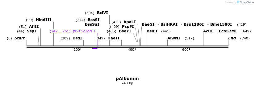 158639_map