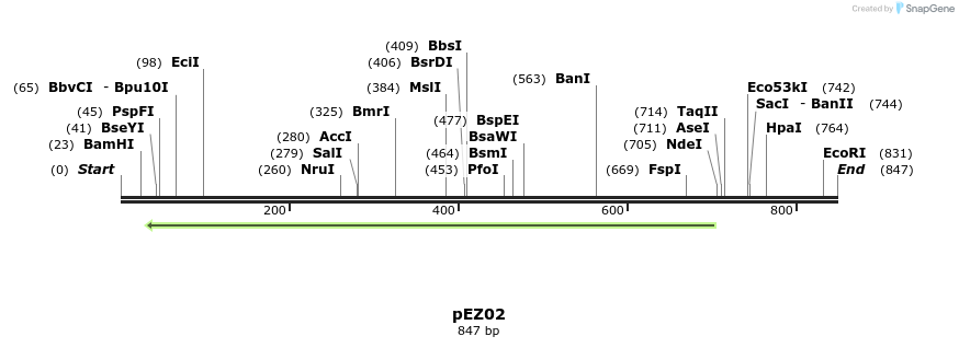 158641_map