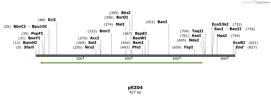 158649_map