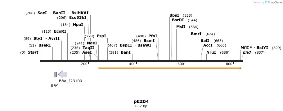 158651_map